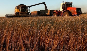 Plans for Russia-Iran wheat deal stall over financing stalemate