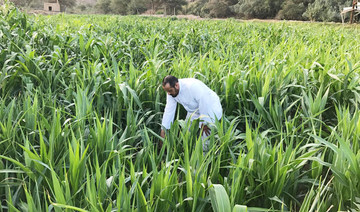 Saudi Environment Ministry celebrates Arab Agriculture Day
