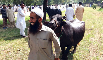 Pakistan PM's house auctions buffalos for austerity