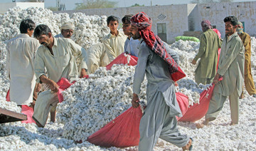 Imported seeds fast replacing local varieties in Pakistan