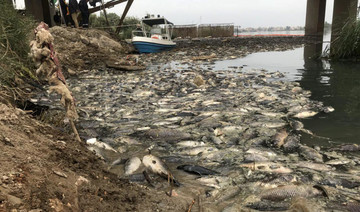 Carp ‘annihilated’ as Iraq’s water pollution woes worsen