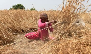 Economic slump chops down Pakistan’s agricultural sector