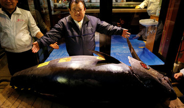 Record $3.1 million paid in New Year’s tuna auction at Japan’s new market