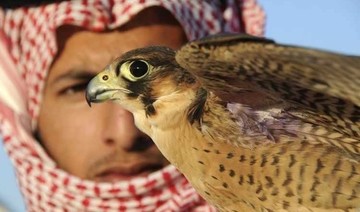 Saudi falconry festival set to open on Jan. 25