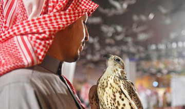 Saudi falconry festival launches photo competition