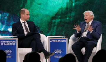 David Attenborough makes impassioned plea for natural world in Davos interview with Prince William