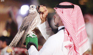 Falcon breeding played key role in Arab world