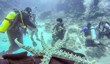 Scuba diving in Red Sea: Family adventure finds new depths