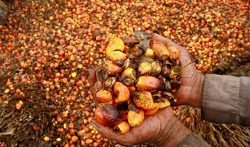 Indonesia to challenge ‘discriminative’ EU directive on palm oil