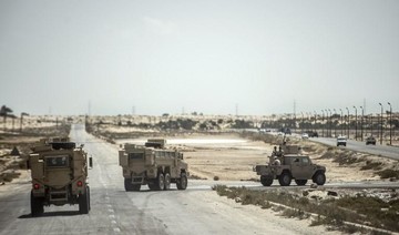 Egypt army says kills 8 militants in desert air strikes