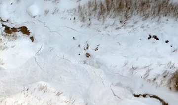 Avalanches in Alps kill at least 10