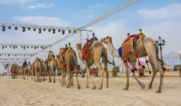 Saudi princess wins first place in King Abdul Aziz Camel Festival