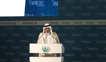 OIC foreign ministers to meet in Abu Dhabi