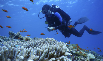 Northern Red Sea coral reefs may survive a hot, grim future