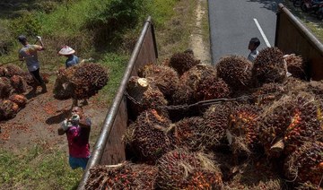 Indonesia threatens to quit Paris climate deal over palm oil