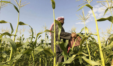 SR1.6 million allocated for Saudi farmers to go organic