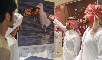 Saudi Falcon club concludes migratory bird day celebrations