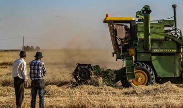 In Syria’s breadbasket, Kurds and regime battle for wheat