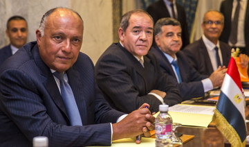 Tunisia, Algeria, Egypt call for a cease-fire in Libya