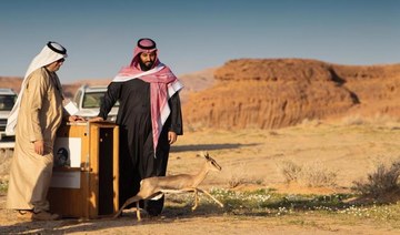 Scholarships abroad for 330 students as part of ambitious Saudi tourism project