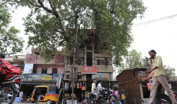 Indian family branches out with novel tree house