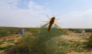 News 18: India, Pakistan Join Hands to Contain Locust Outbreak in Rajasthan's Border Districts
