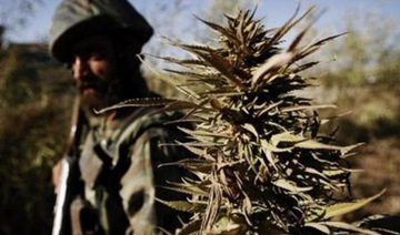 Morocco seizes ‘record’ 27.3 tons of cannabis resin