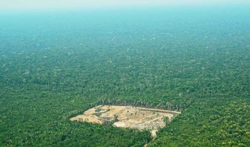 Brazil research chief says sacked over Bolsonaro deforestation spat