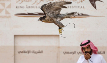 International falconry events announced for Riyadh