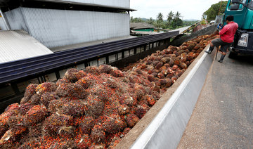 Malaysia hopes to pay for military equipment with palm oil