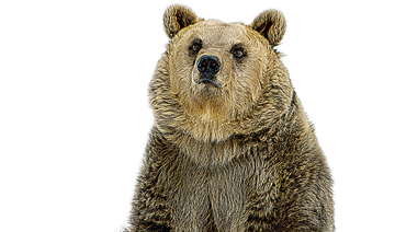 WEEKLY ENERGY RECAP: Tightening market confounds bears