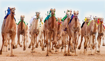 World’s biggest camel festival helps make Saudi city top tourist destination