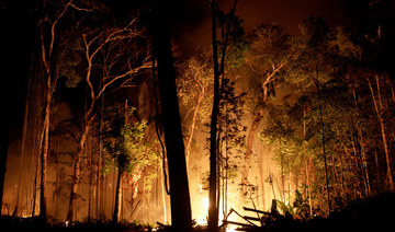 Brazil’s Amazon basin fires keep surging