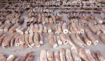 Southern Africa threatens to quit wildlife trade monitor