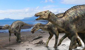 Japanese scientists find new dinosaur species