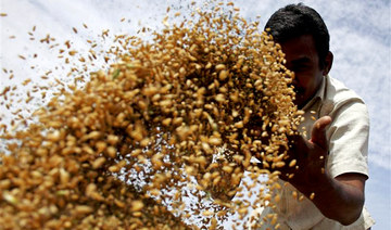 World must transform food production, scientists say