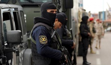 Nine suspected militants killed in Egypt: ministry