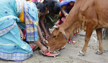 Man in India killed by mob after being accused of cow slaughter