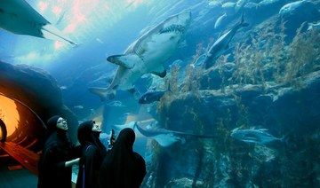 Dubai Aquarium to add virtual encounters with Tiger and Hammerhead sharks