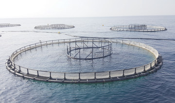 Saudi project aims to make Kingdom self-sufficient in seafood production