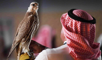 Saudi falcons and hunting show set to soar