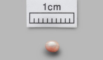World’s oldest pearl found in Abu Dhabi