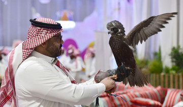 Saudi Environment Ministry: Falconry expo disease-free