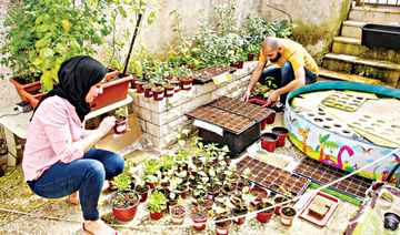 Palestinian inventor sees aquaponics as vital to agricultural transformation