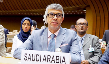 Envoy: Saudi Arabia strives to promote cultural heritage