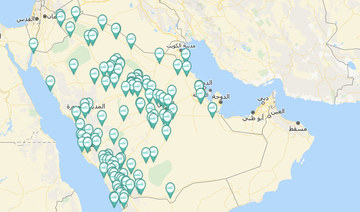 Saudi housing program allocates monthly record 21,000 building plots