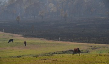 Bushfire threat still high as Australia clean up begins