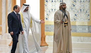 UAE, Egypt plan $20 bln spending on social, economic projects