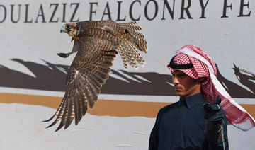 Saudi Falcons Club preparations take flight ahead of festival