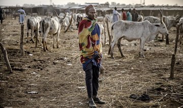 Boko Haram kill 19 Nigeria herders in clashes